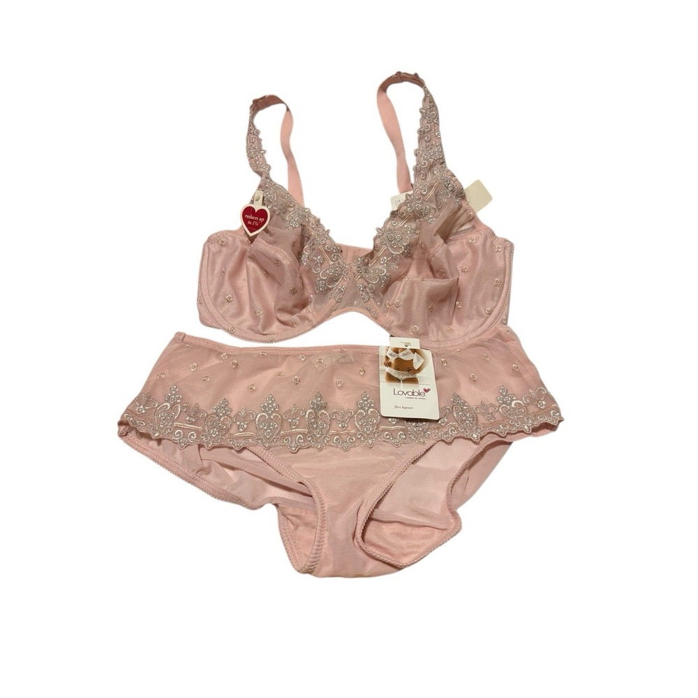 Hanes Lovable Flirt Minimizer‎ Bra & Panty Set 40D Shear Pink UW Embroidered NWT